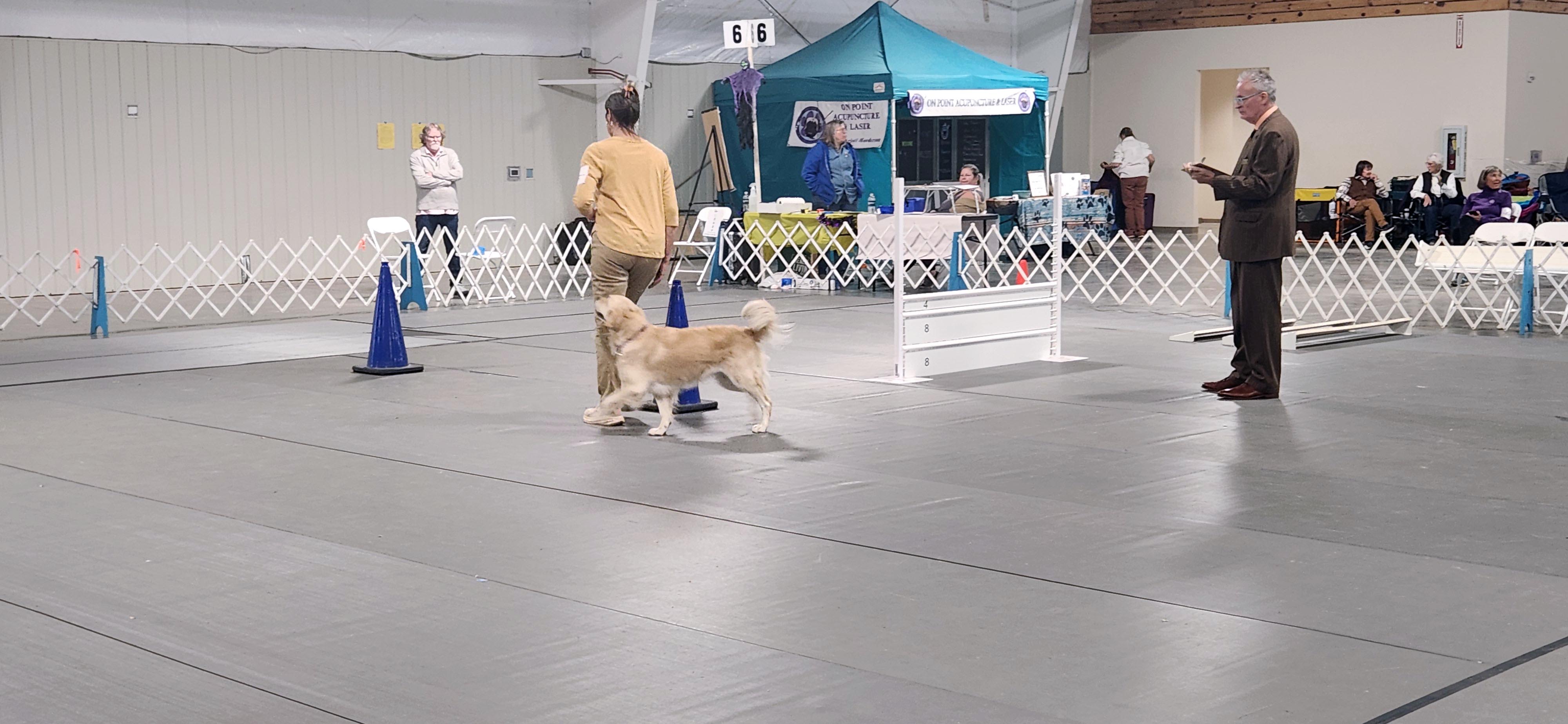 2025 Annual Show, photo 11 of 111
