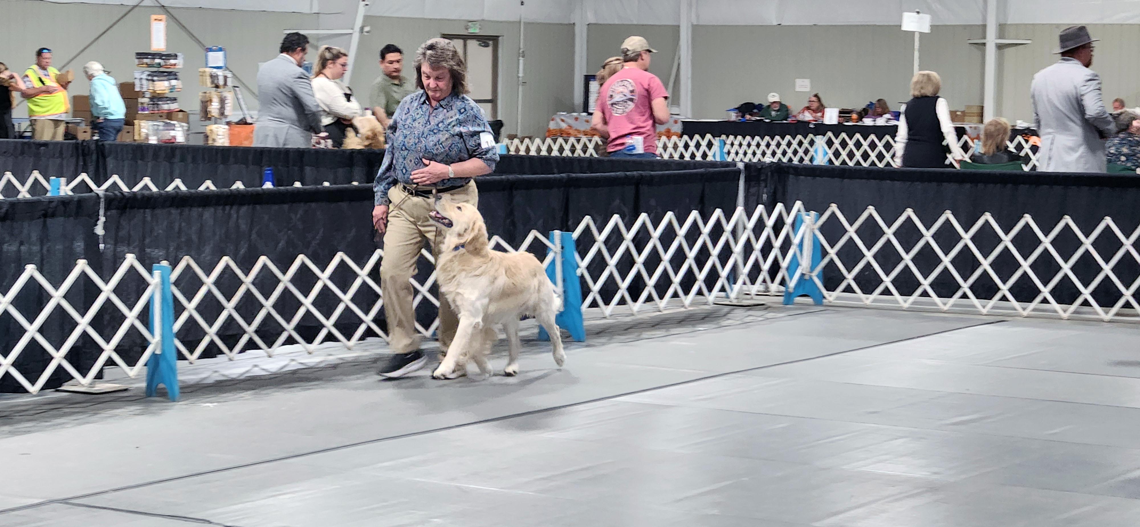 2025 Annual Show, photo 15 of 111