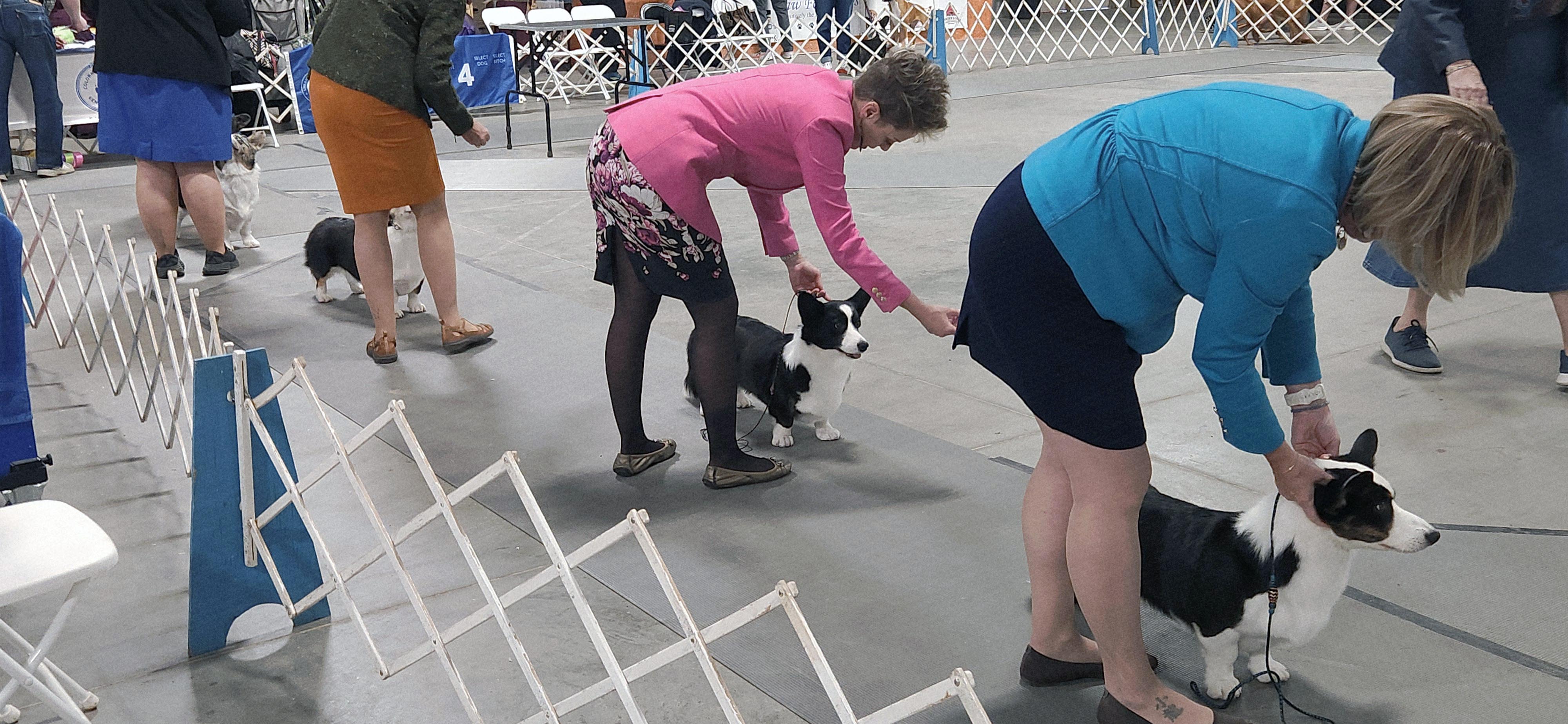 2025 Annual Show, photo 31 of 111