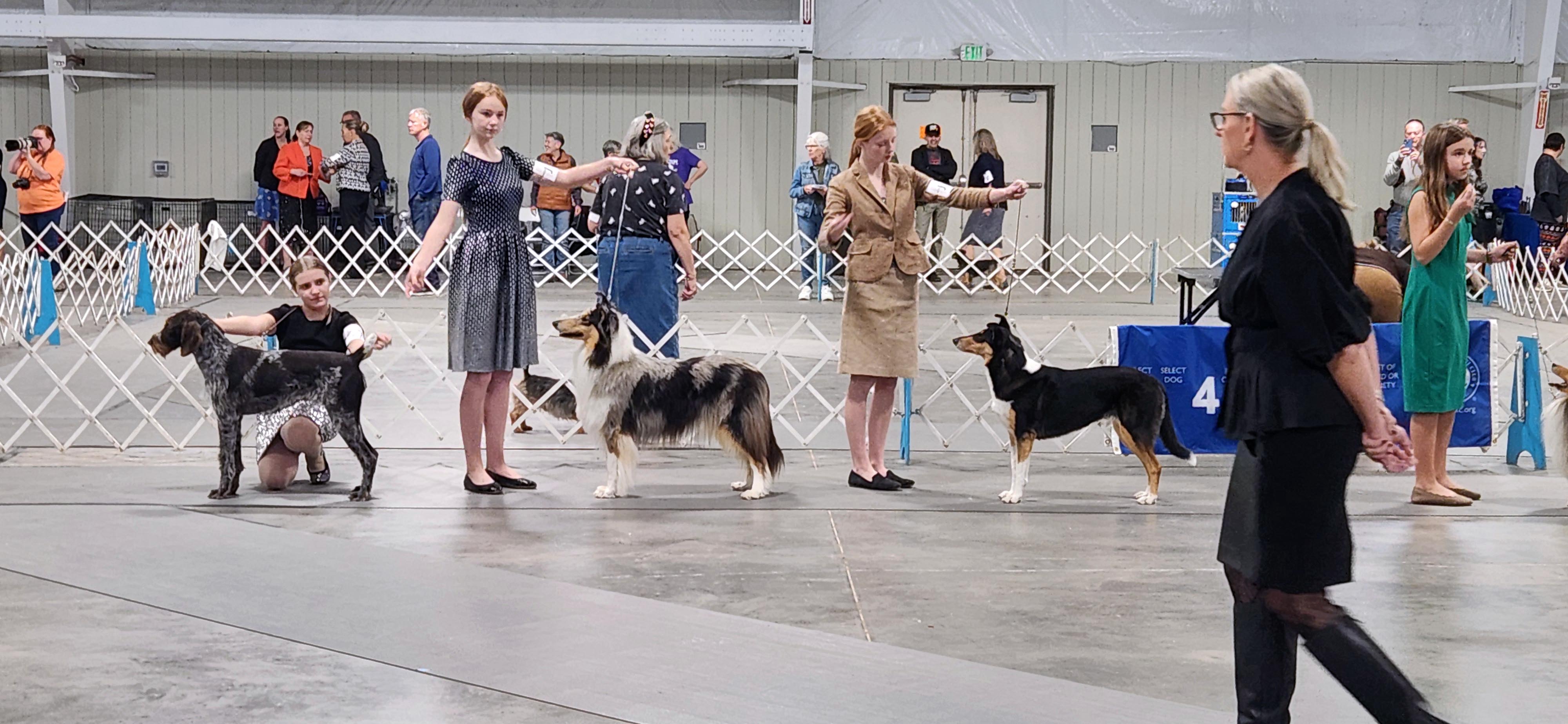2025 Annual Show, photo 34 of 111