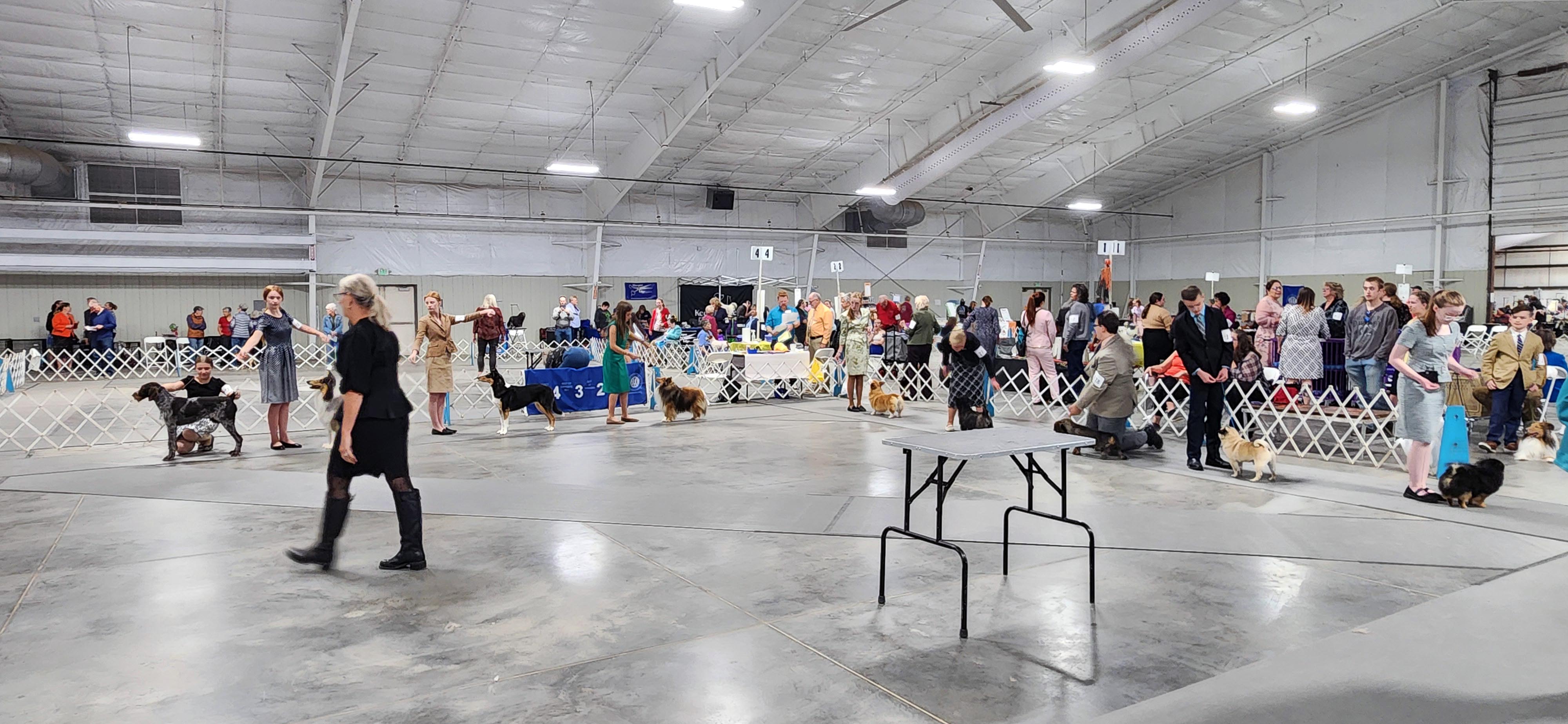 2025 Annual Show, photo 36 of 111