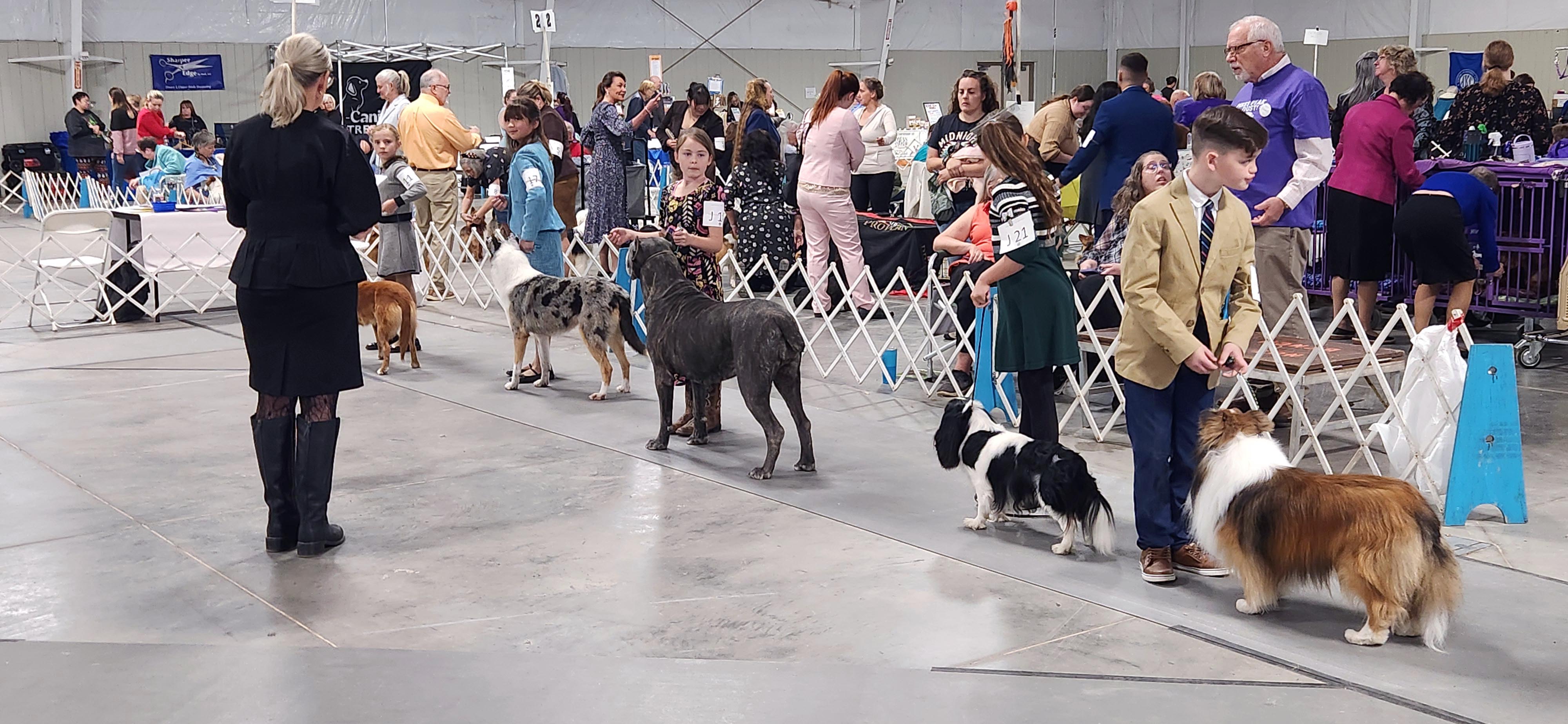 2025 Annual Show, photo 40 of 111