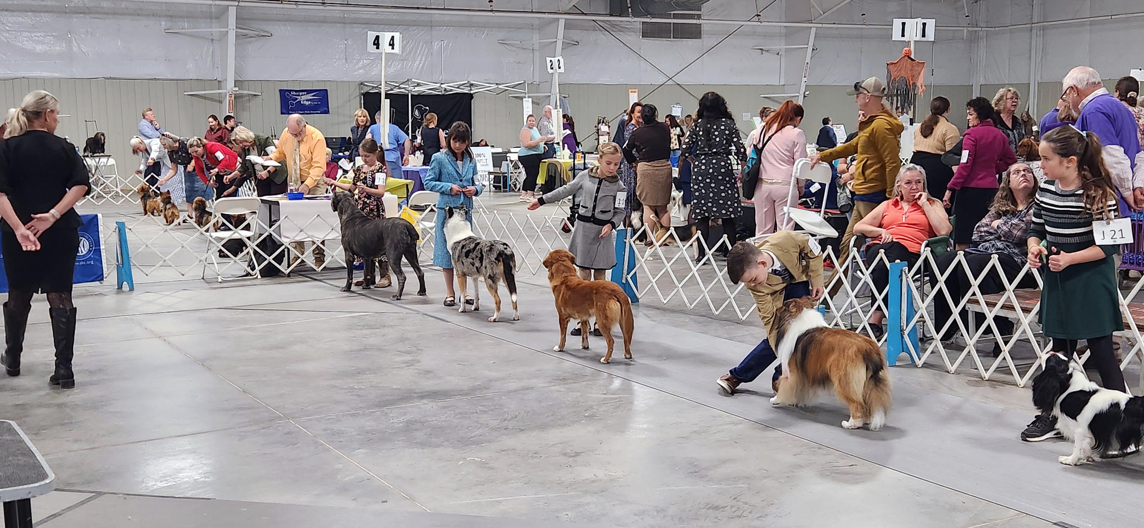 2025 Annual Show, photo 41 of 111