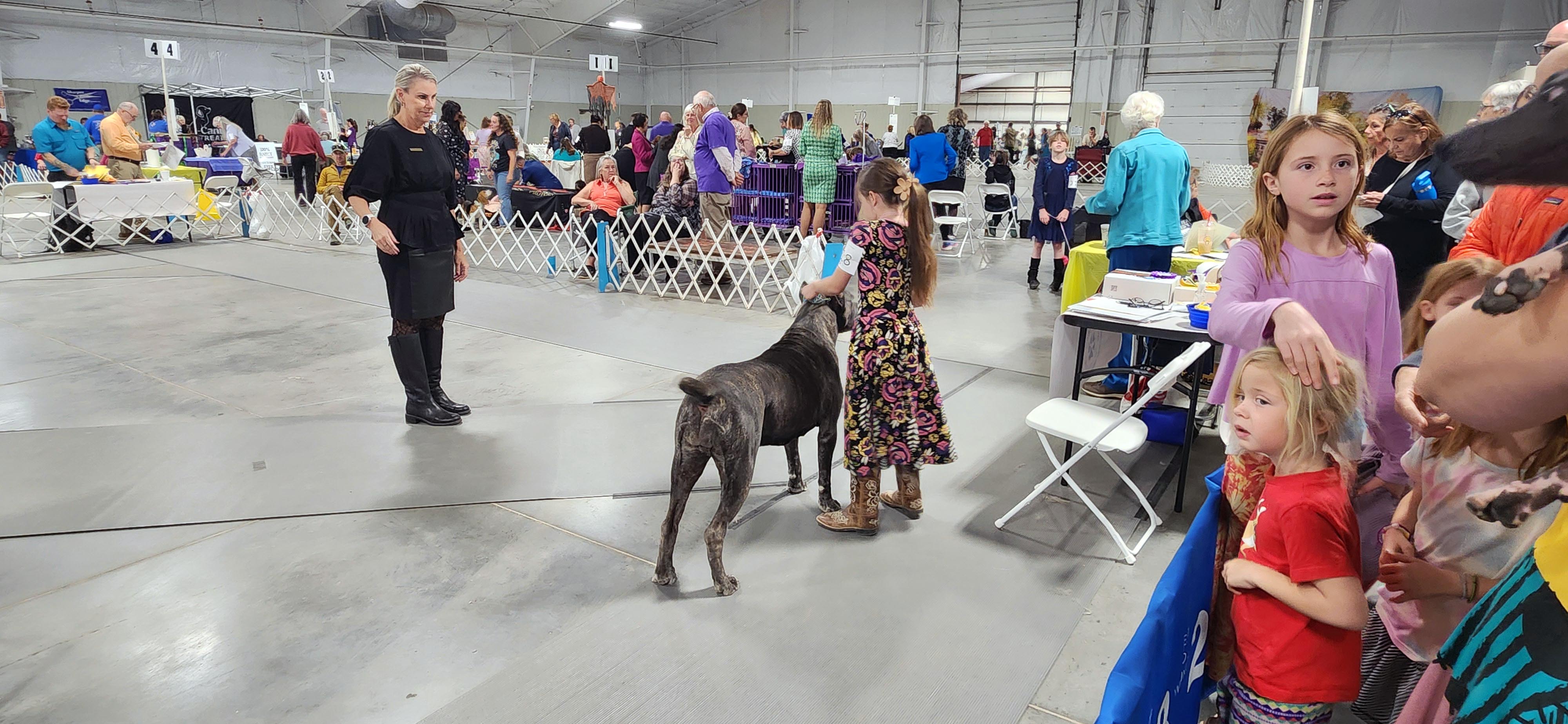 2025 Annual Show, photo 42 of 111