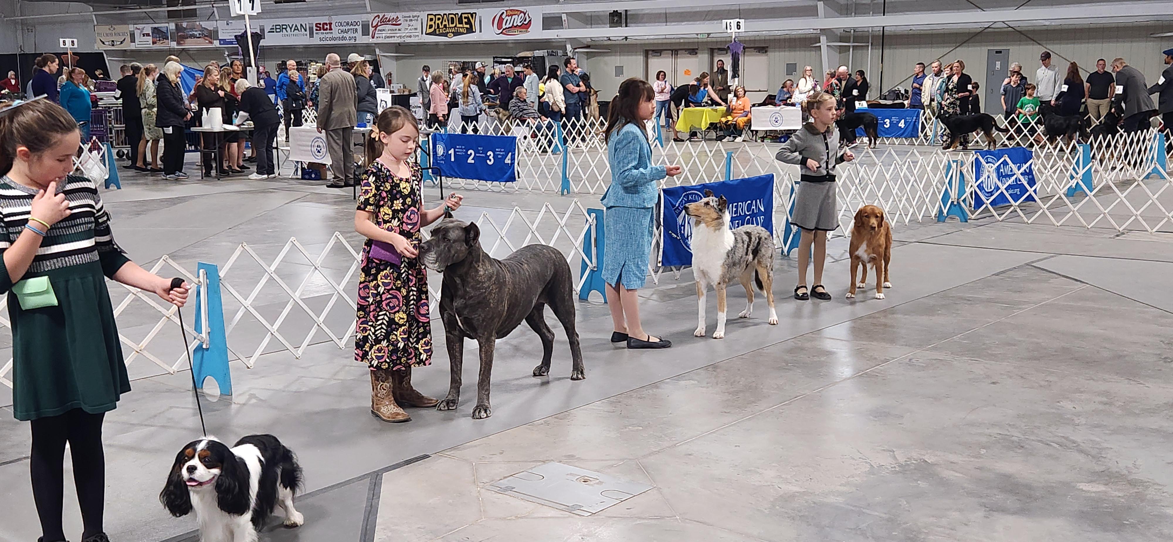 2025 Annual Show, photo 45 of 111