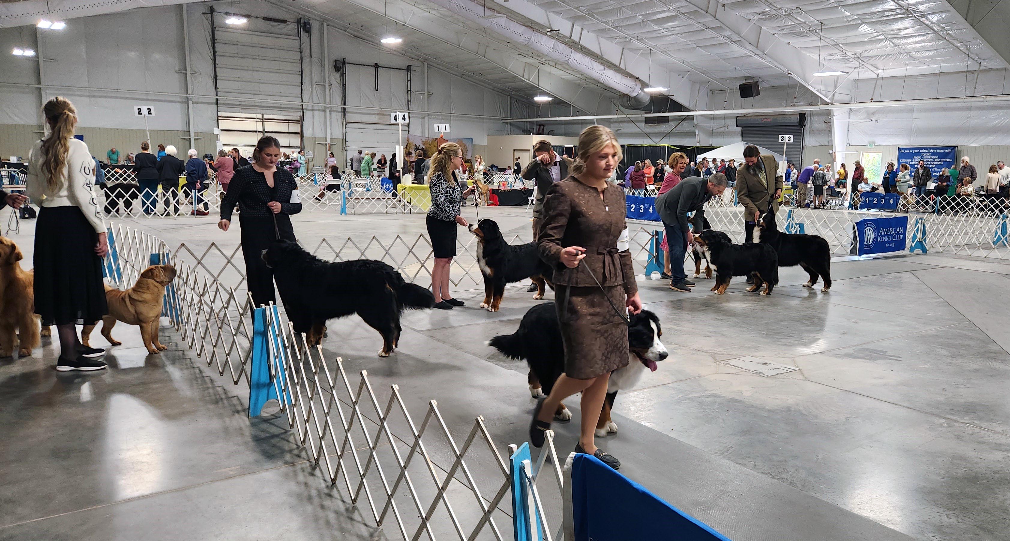 2025 Annual Show, photo 60 of 111