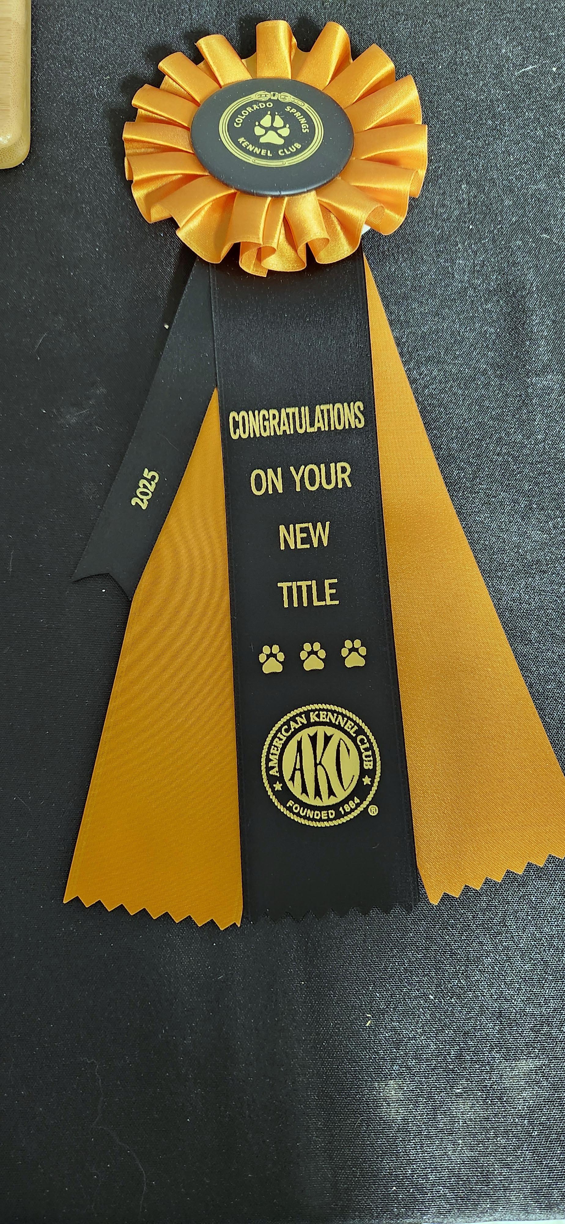 2025 Annual Show, photo 62 of 111