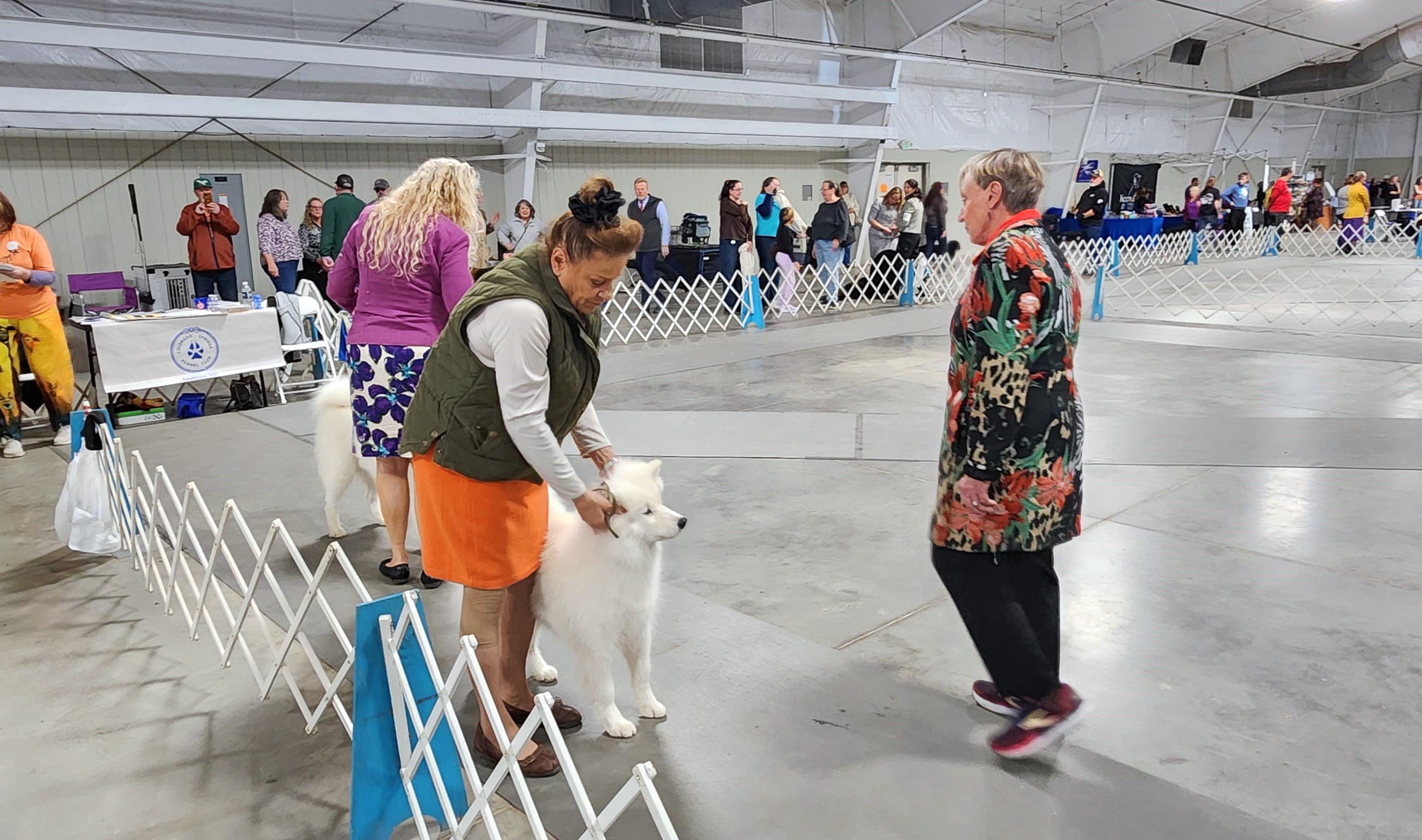 2025 Annual Show, photo 64 of 111