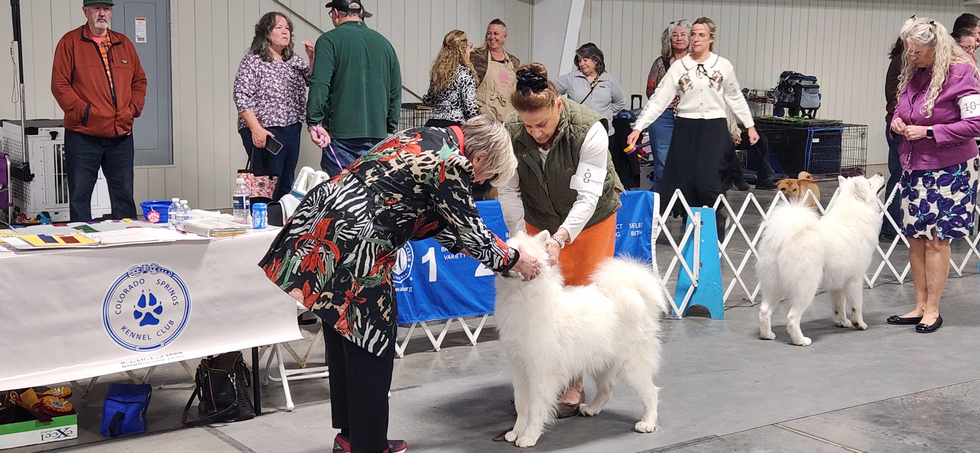 2025 Annual Show, photo 66 of 111