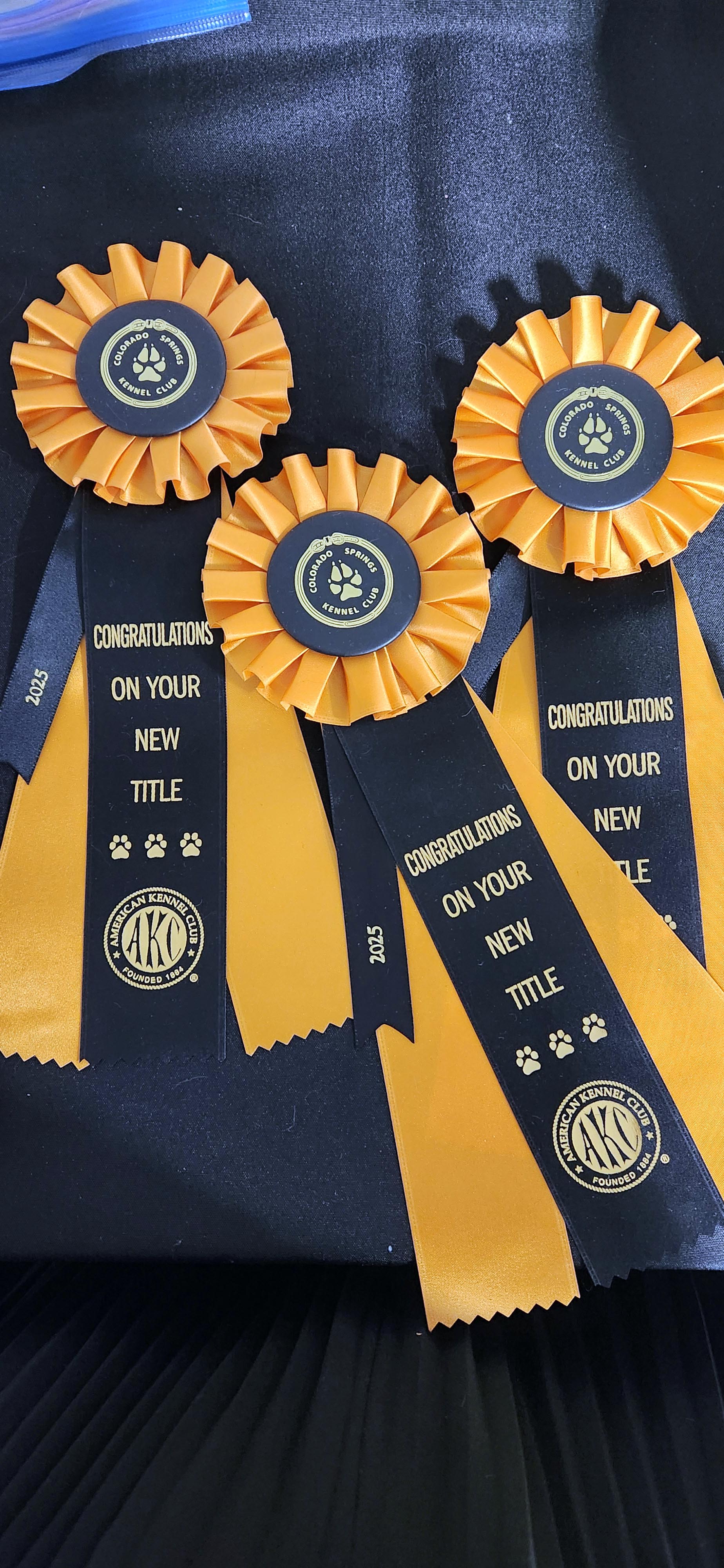 2025 Annual Show, photo 76 of 111