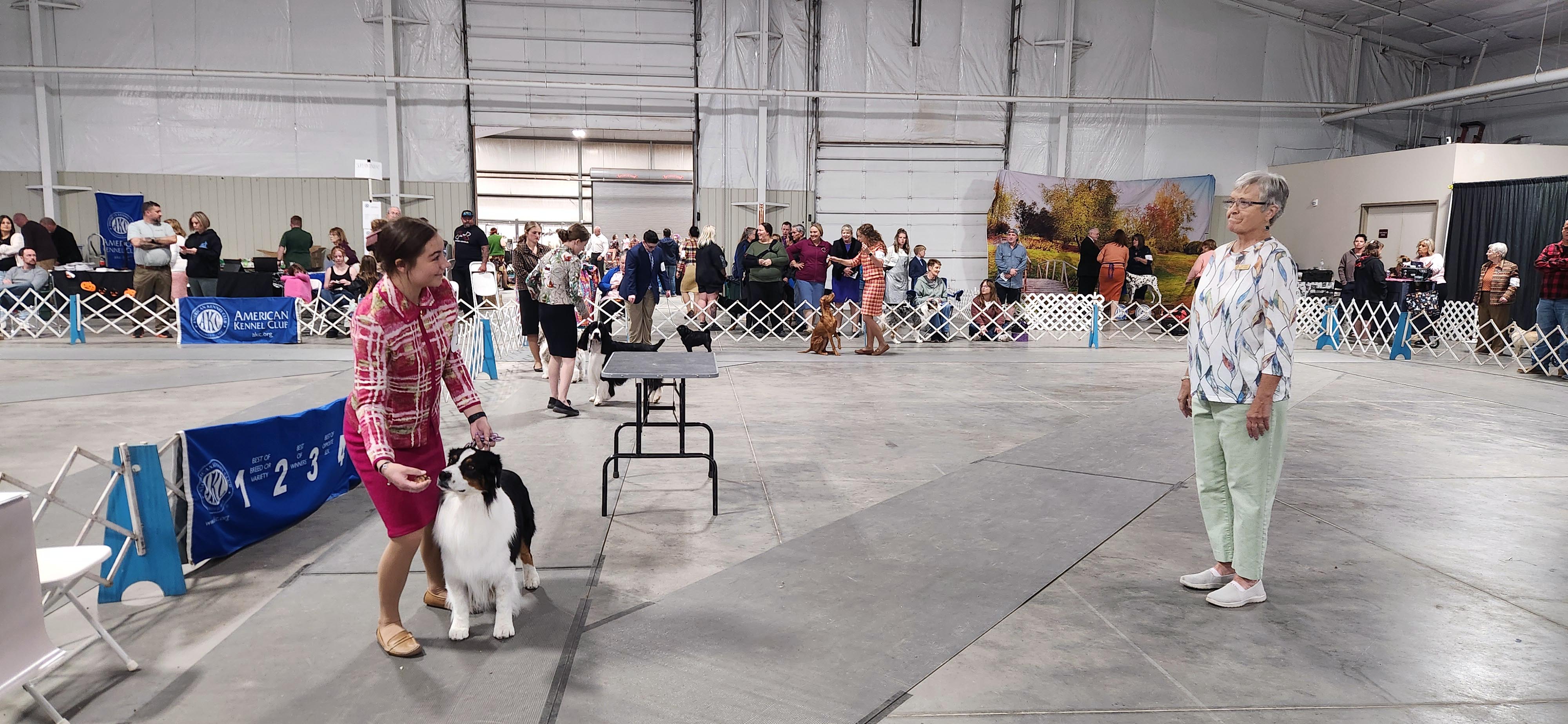 2025 Annual Show, photo 84 of 111