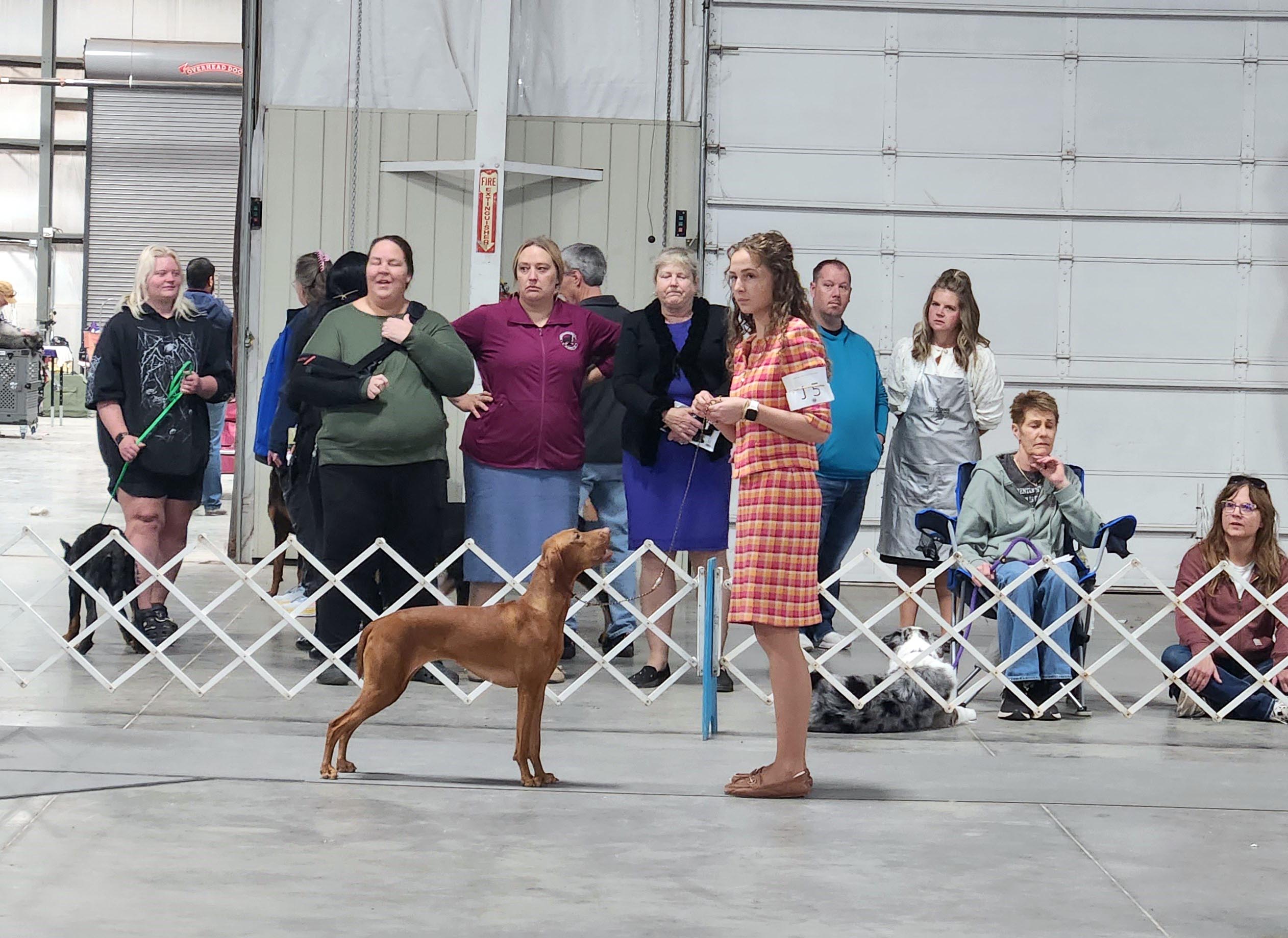 2025 Annual Show, photo 85 of 111