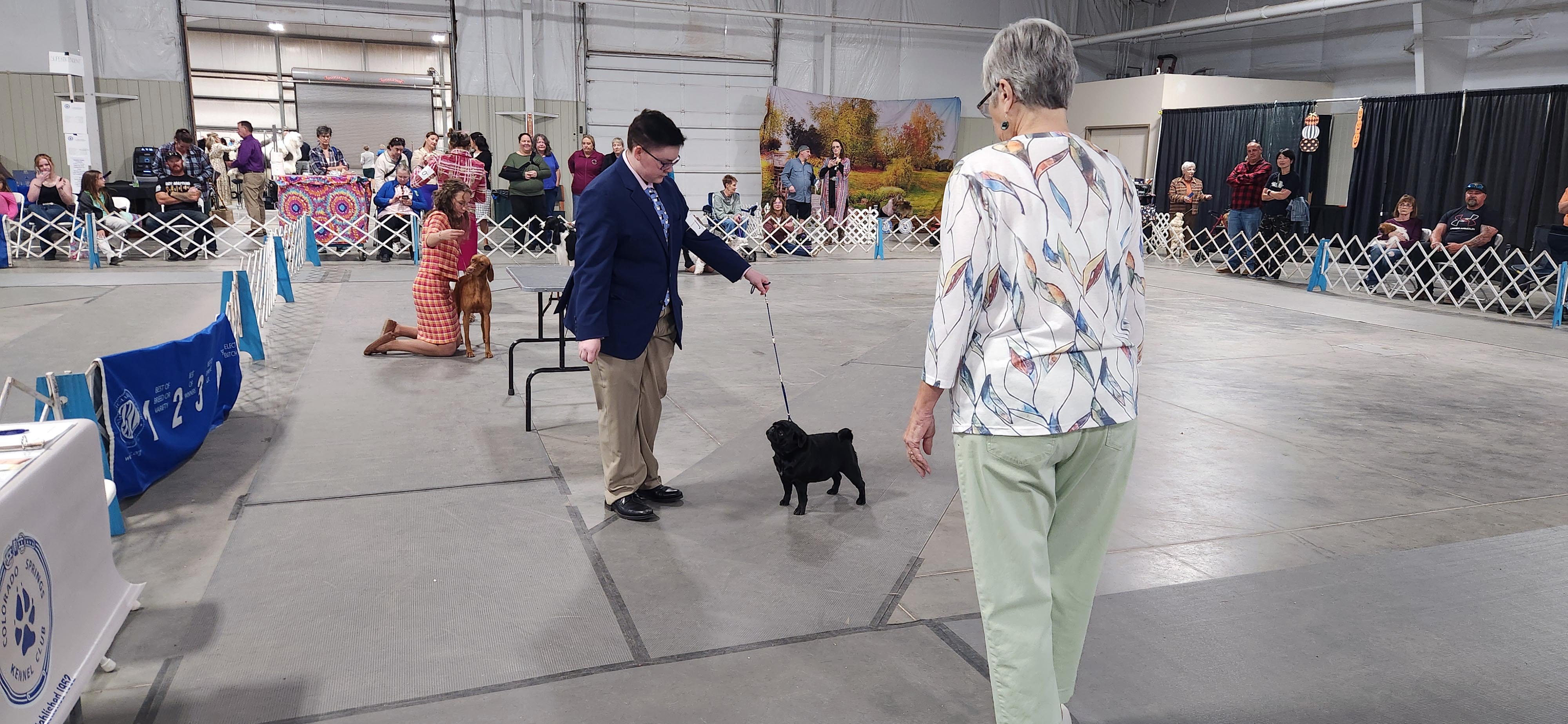 2025 Annual Show, photo 90 of 111