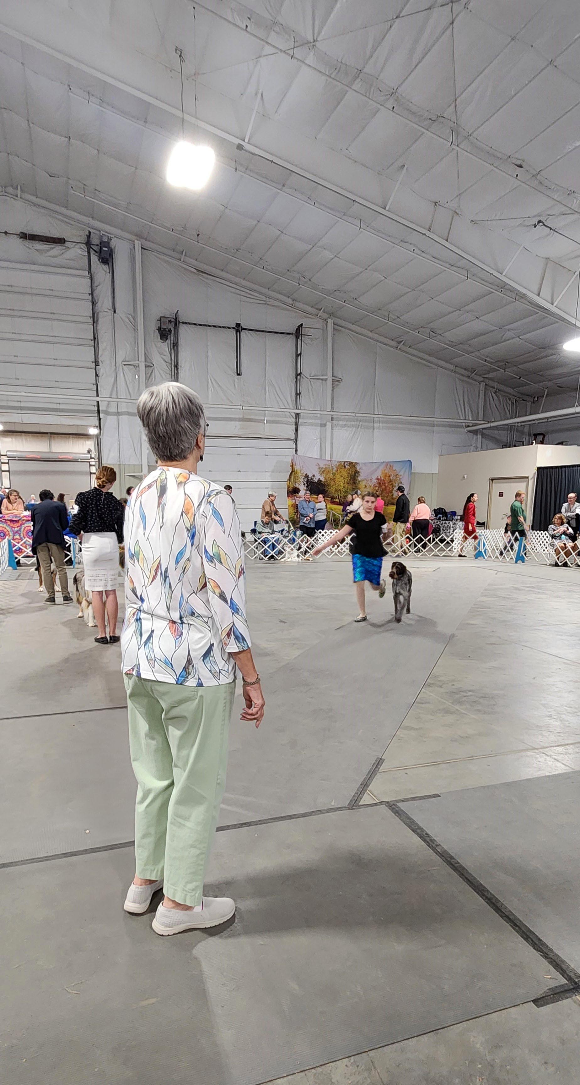 2025 Annual Show, photo 95 of 111