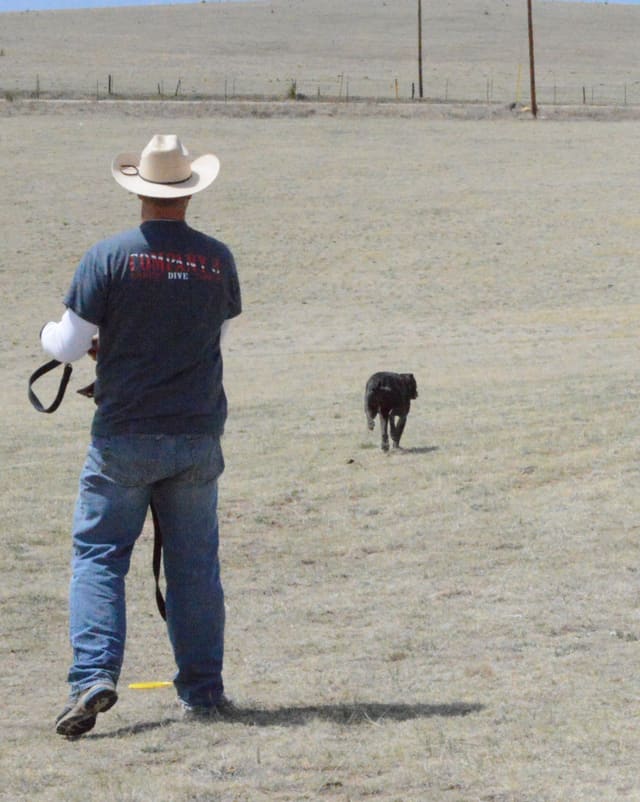 2017 C.A.T., photo 55 of 115