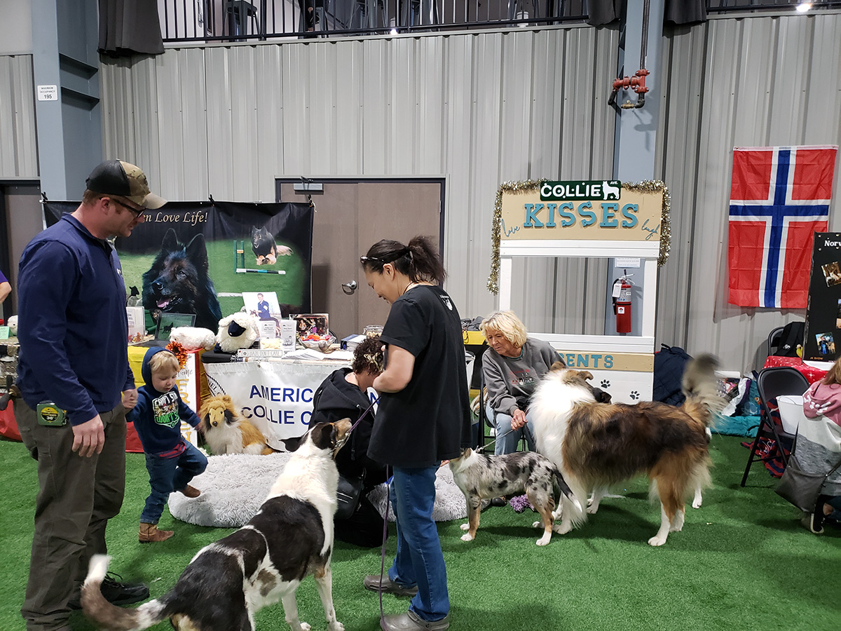 November 2022 Meet the Breed, photo 4 of 38