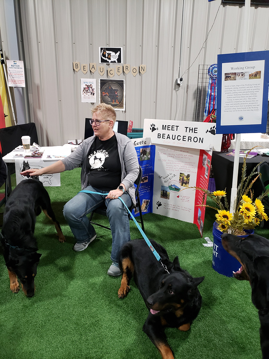November 2022 Meet the Breed, photo 9 of 38