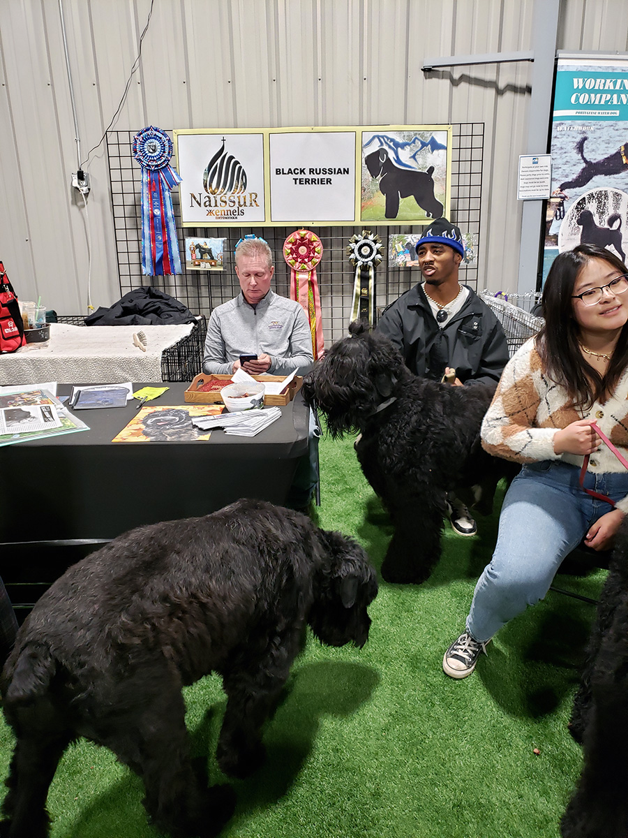 November 2022 Meet the Breed, photo 10 of 38