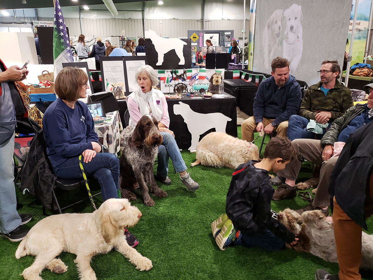 November 2022 Meet the Breed, photo 12 of 38