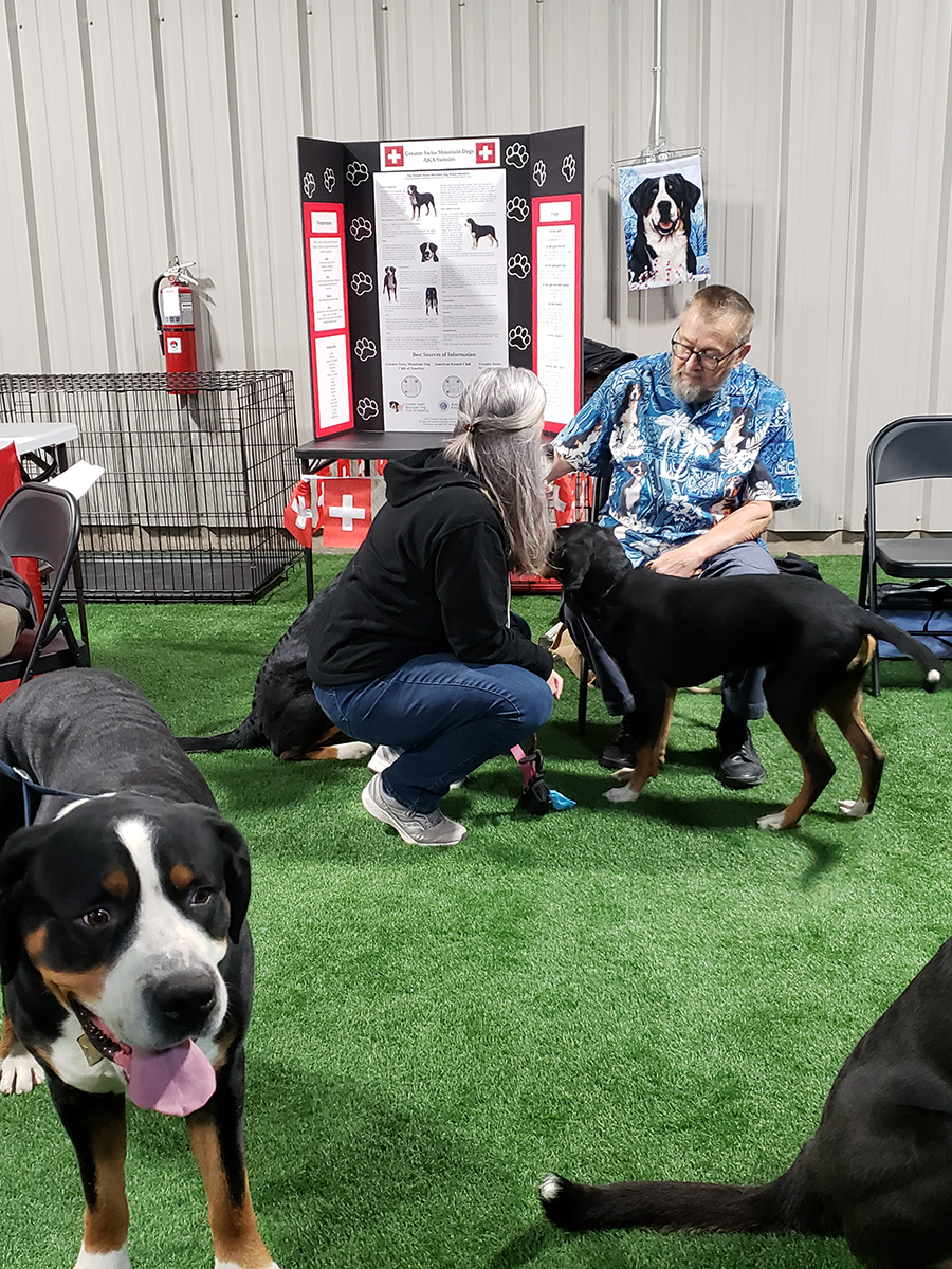 November 2022 Meet the Breed, photo 17 of 38