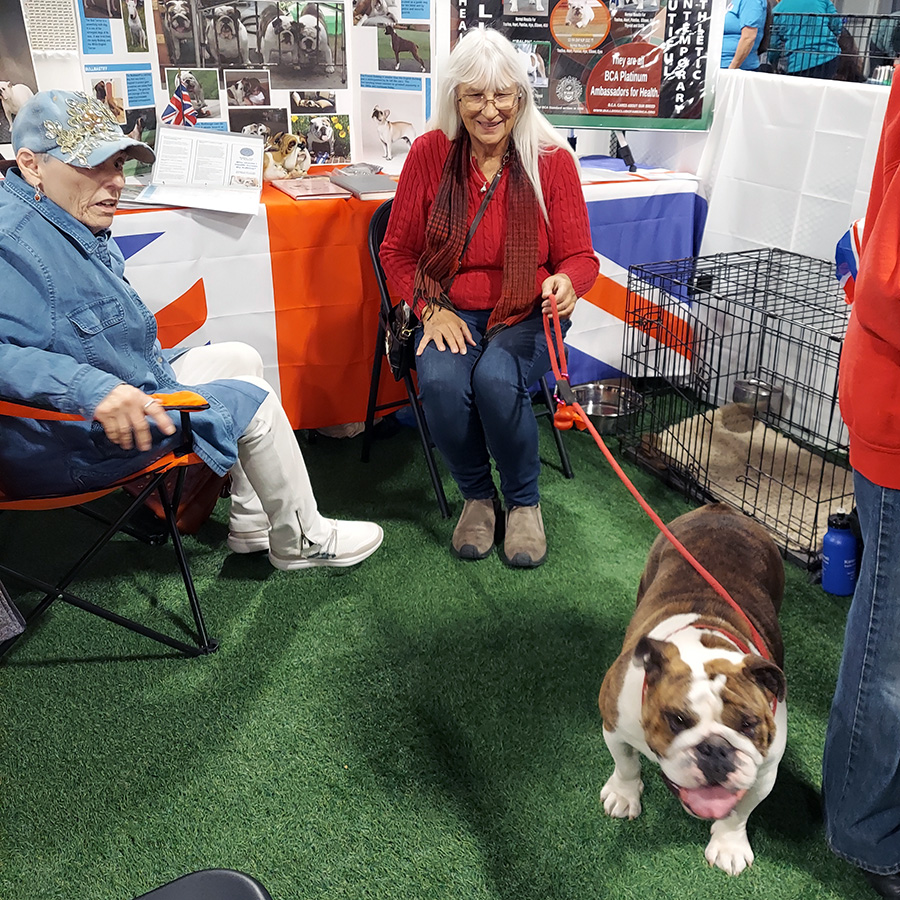 November 2022 Meet the Breed, photo 19 of 38