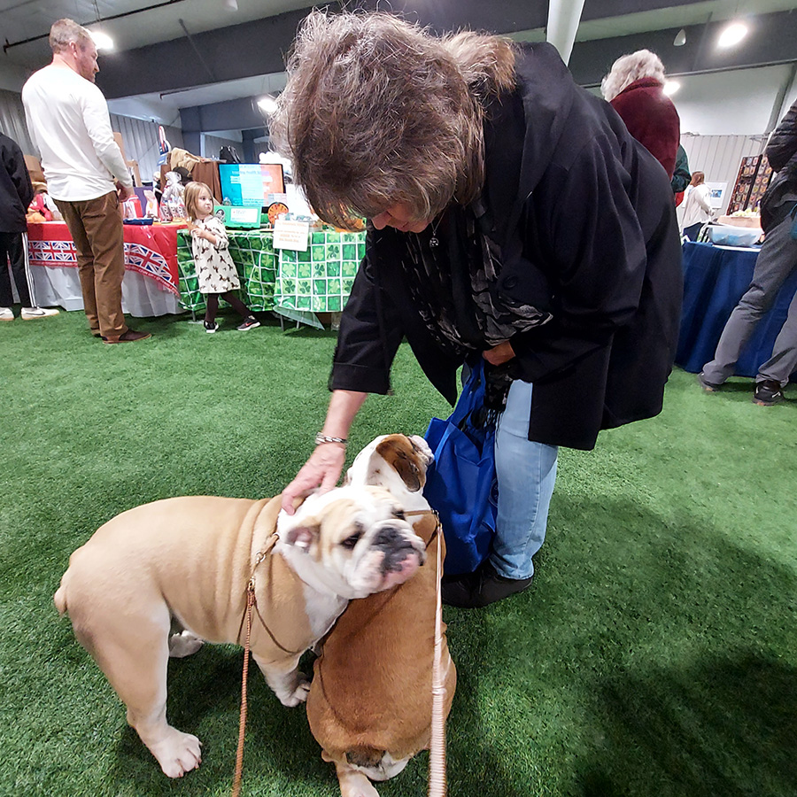 November 2022 Meet the Breed, photo 25 of 38